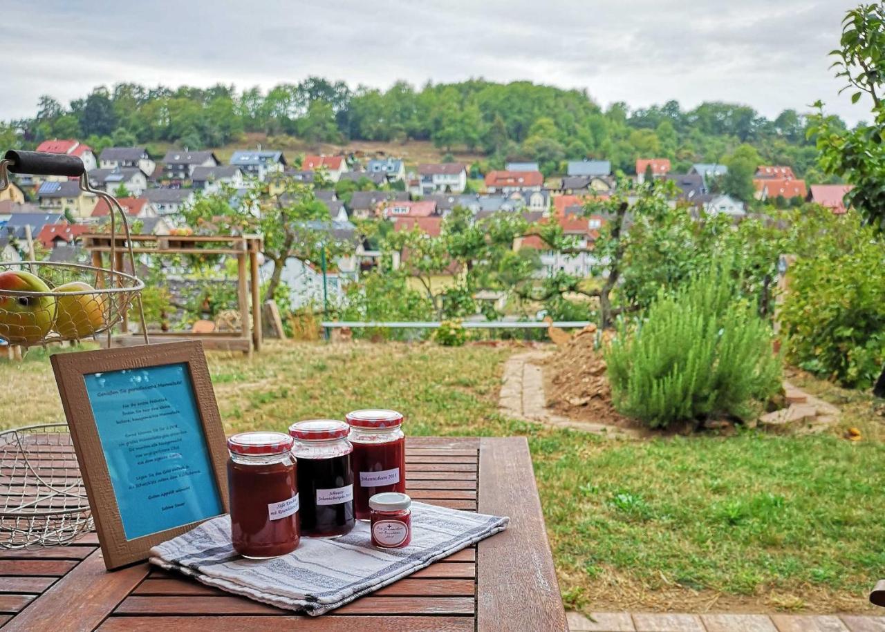Ferienwohnung Im Paradies Momlingen Esterno foto
